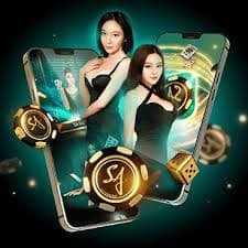 qq8811